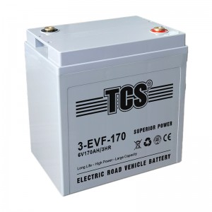 TCS电动蹊径车电池3-EVF-170