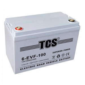 TCS电动蹊径车电池6-EVF-100