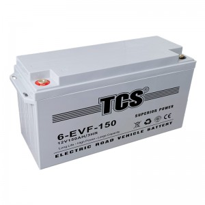 TCS电动蹊径车电池6-EVF-150