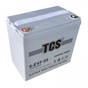 TCS电动蹊径车电池6-EVF-55