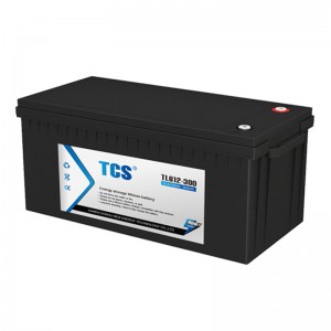 TCS储能型锂电池 TLB12-300